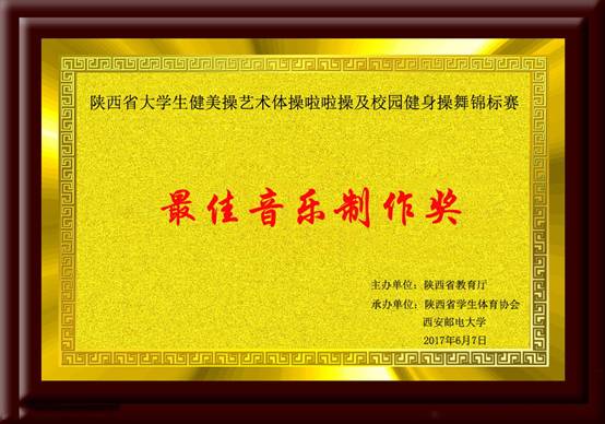 陝西省大學生健美操藝術體操啦啦操及校園健身操舞錦標賽 最佳音樂制作獎.jpg