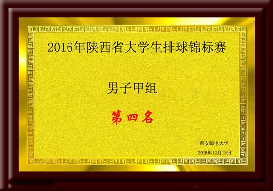 2016年陝西省大學生排球錦標賽男子組第四名.jpg