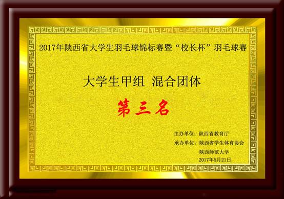 陝西省大學生羽毛球錦標賽暨“校長杯”羽毛球賽大學生甲組（普通大學生組）混合團體季軍.jpg