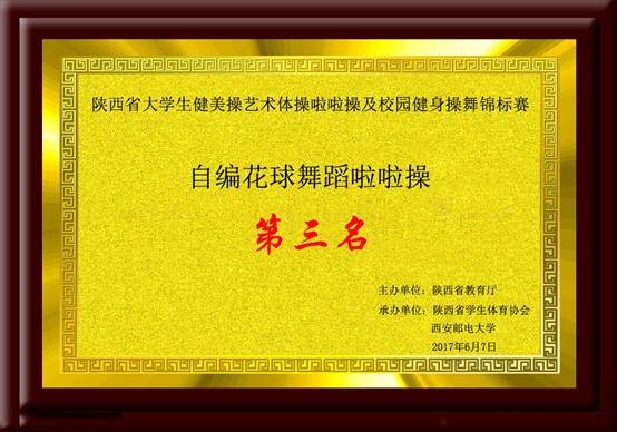 陝西省大學生健美操藝術體操啦啦操及校園健身操舞錦標賽 自編花球舞蹈啦啦操第三名.jpg
